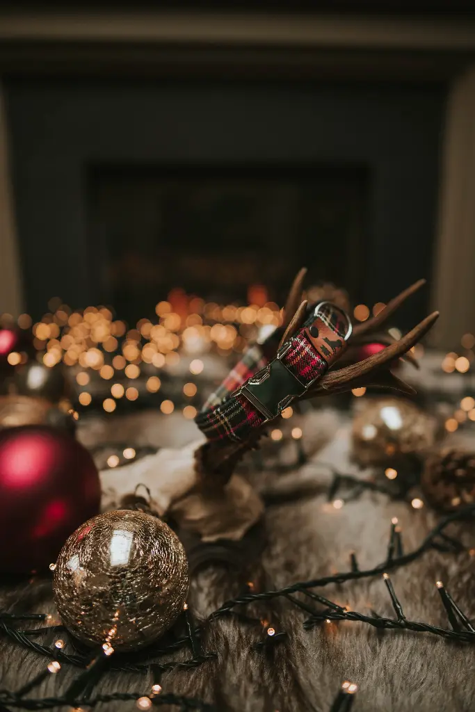 William - Halsband (S, 2 cm, Zilver)