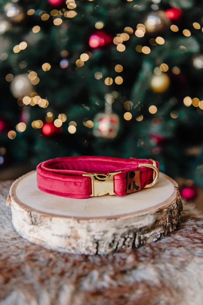 Velvet Ruby - Halsband (S, 2 cm, Argent)