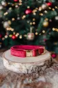 Velvet Ruby - Halsband