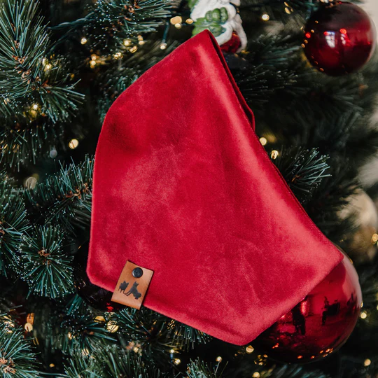 Velvet Ruby - Bandana