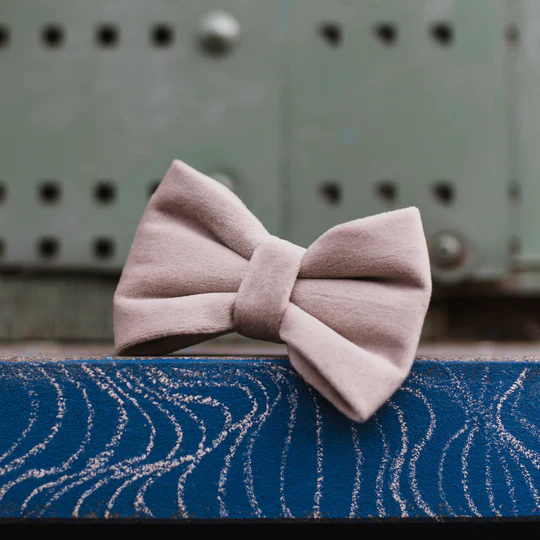 Velvet Oyster - Strik (S)