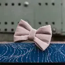 Velvet Oyster - Strik