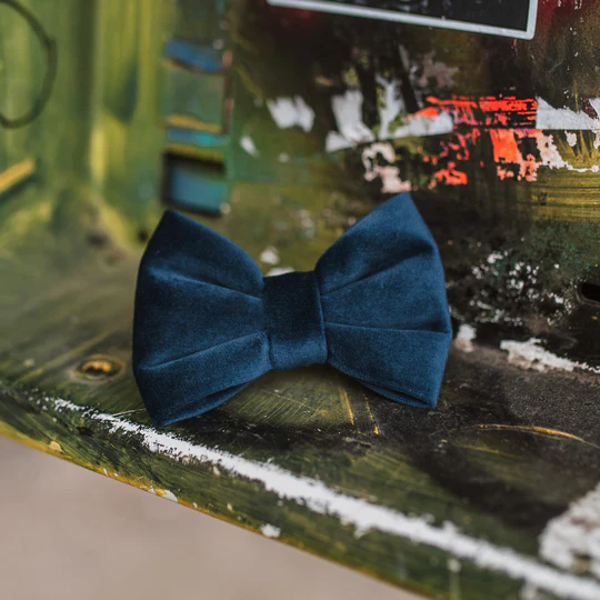 Velvet Otis - Strik (S)