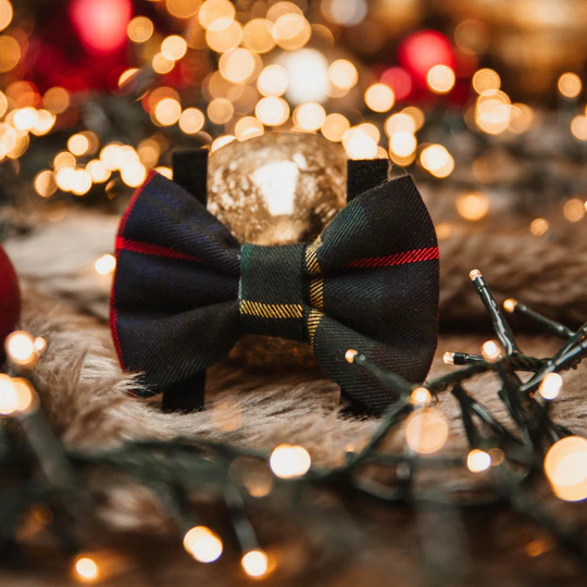 Evergreen - Strik (S)