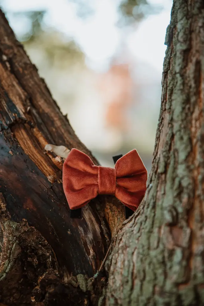 Velvet Ginger - Strik (S)