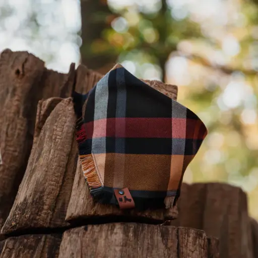 Clay - Bandana