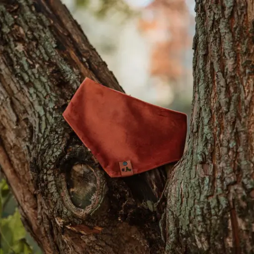 Velvet Ginger - Bandana