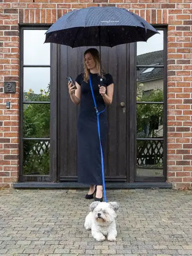 Handsfree leiband - Azure blauw
